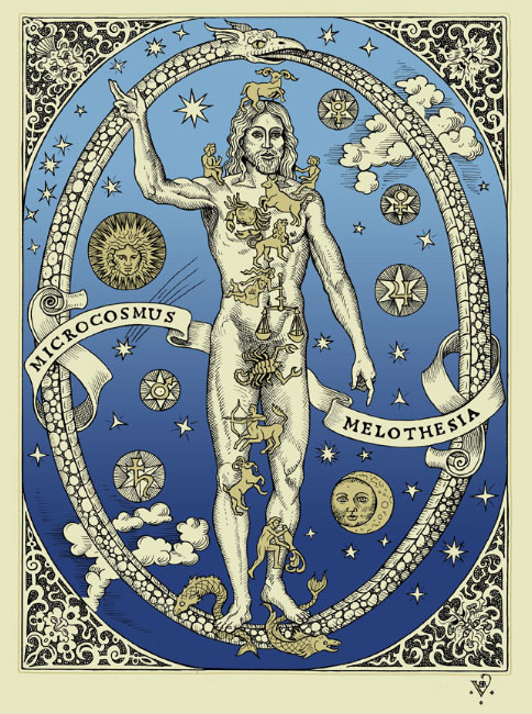 Microcosmos_Melothesia_Vierling.jpg
