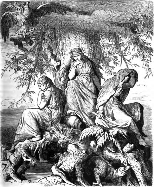 hwC-tTyaNzk.jpg