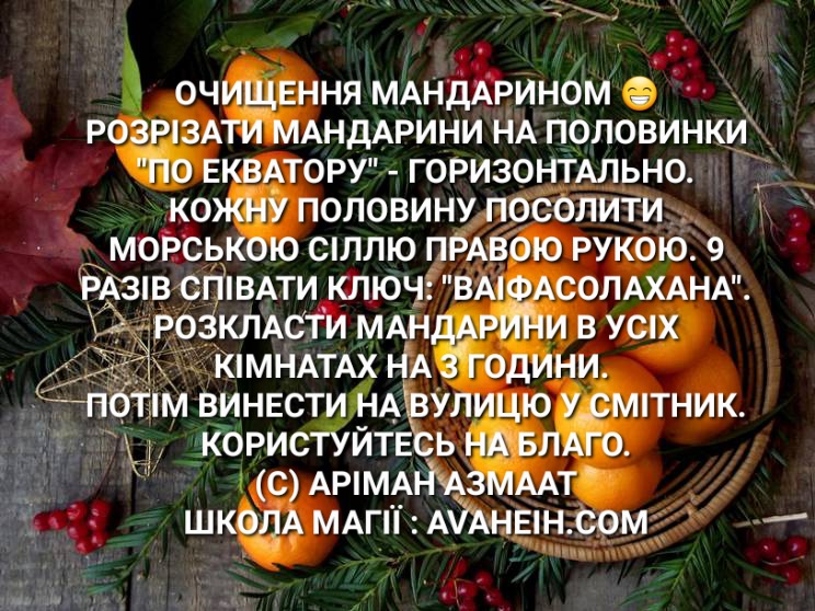 351580.jpg