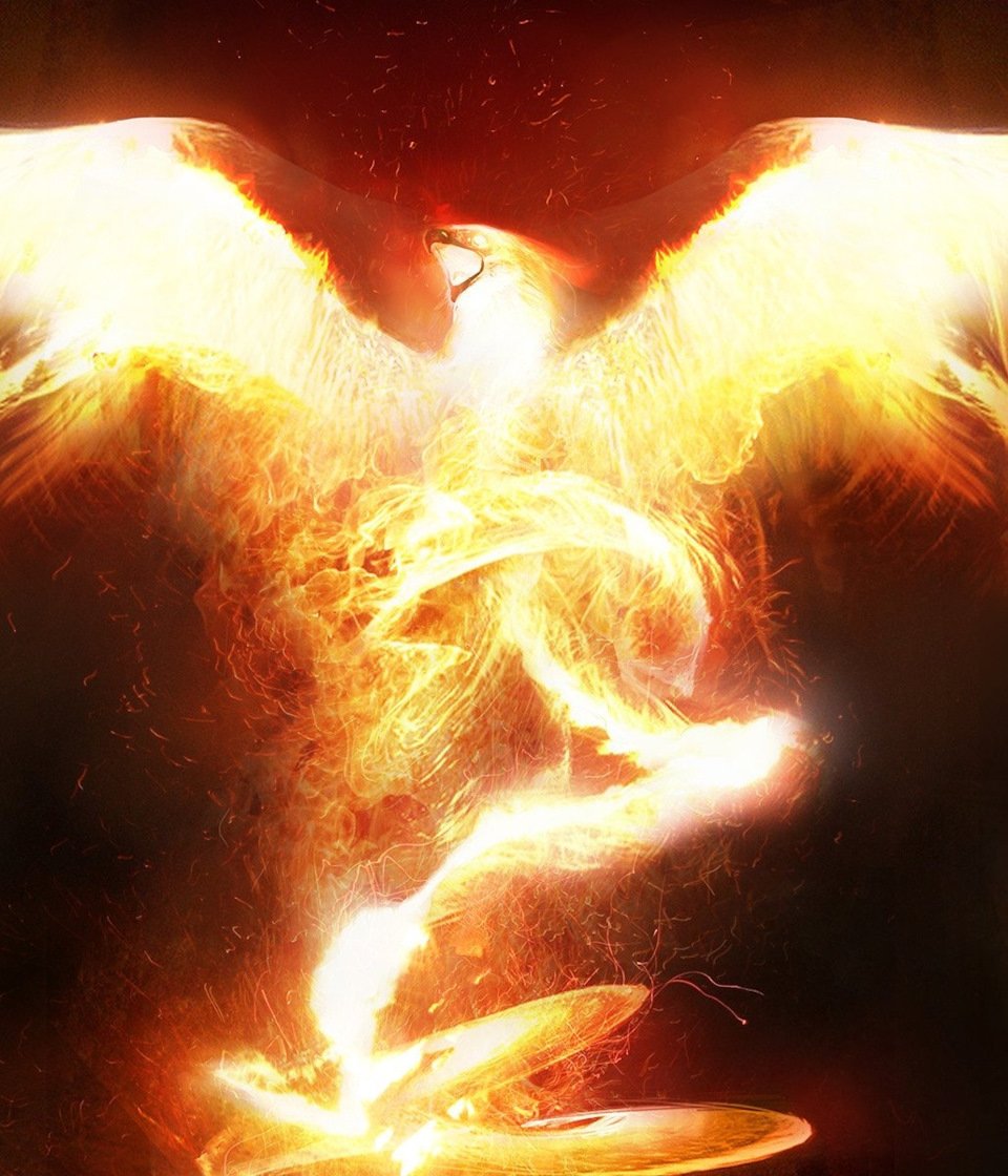 Зображення